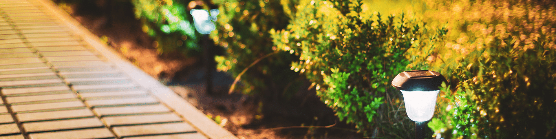 garden pathway lighting