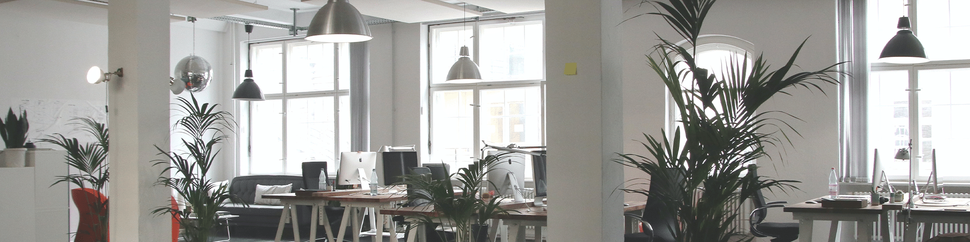 Open plan office with dome lights