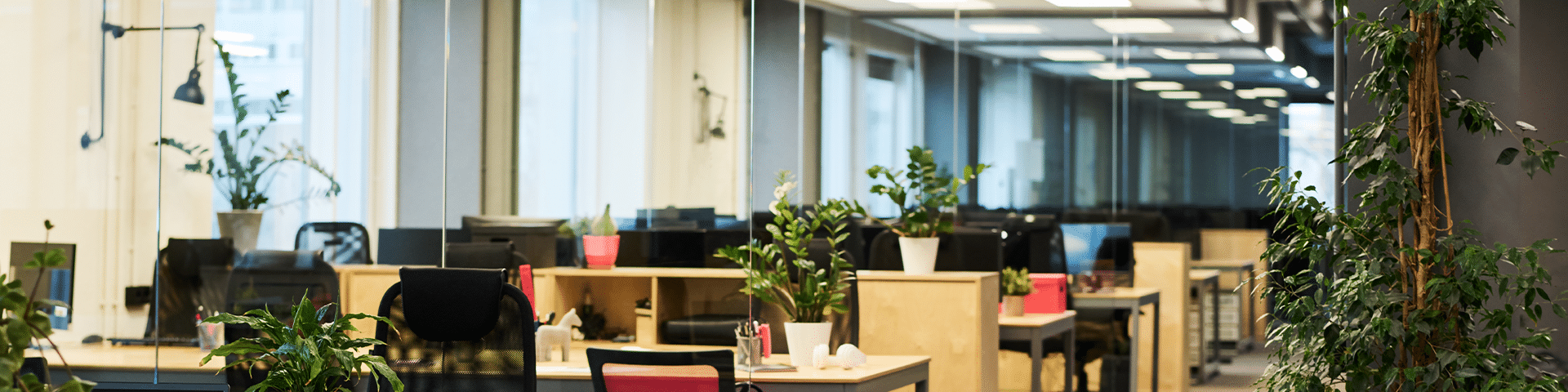 Office with ceiling lights and planting